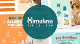 Himalaya Portfolio