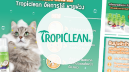 Tropiclean Portfolio