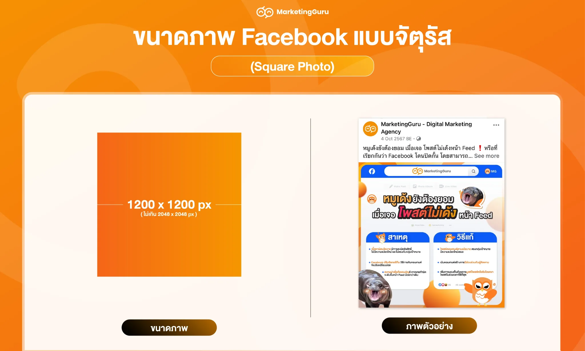 ขนาดภาพ Facebook